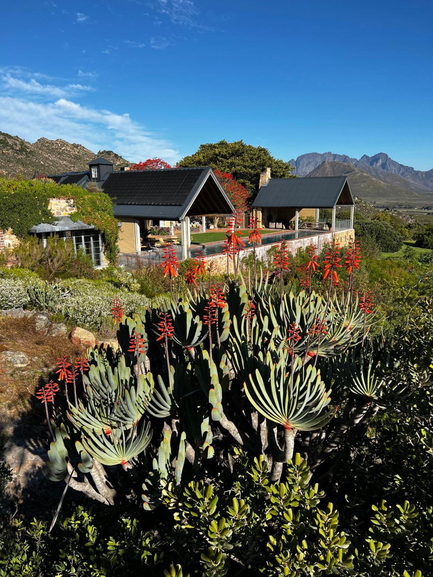 7 Koppies Bed & Breakfast Franschhoek Exterior photo