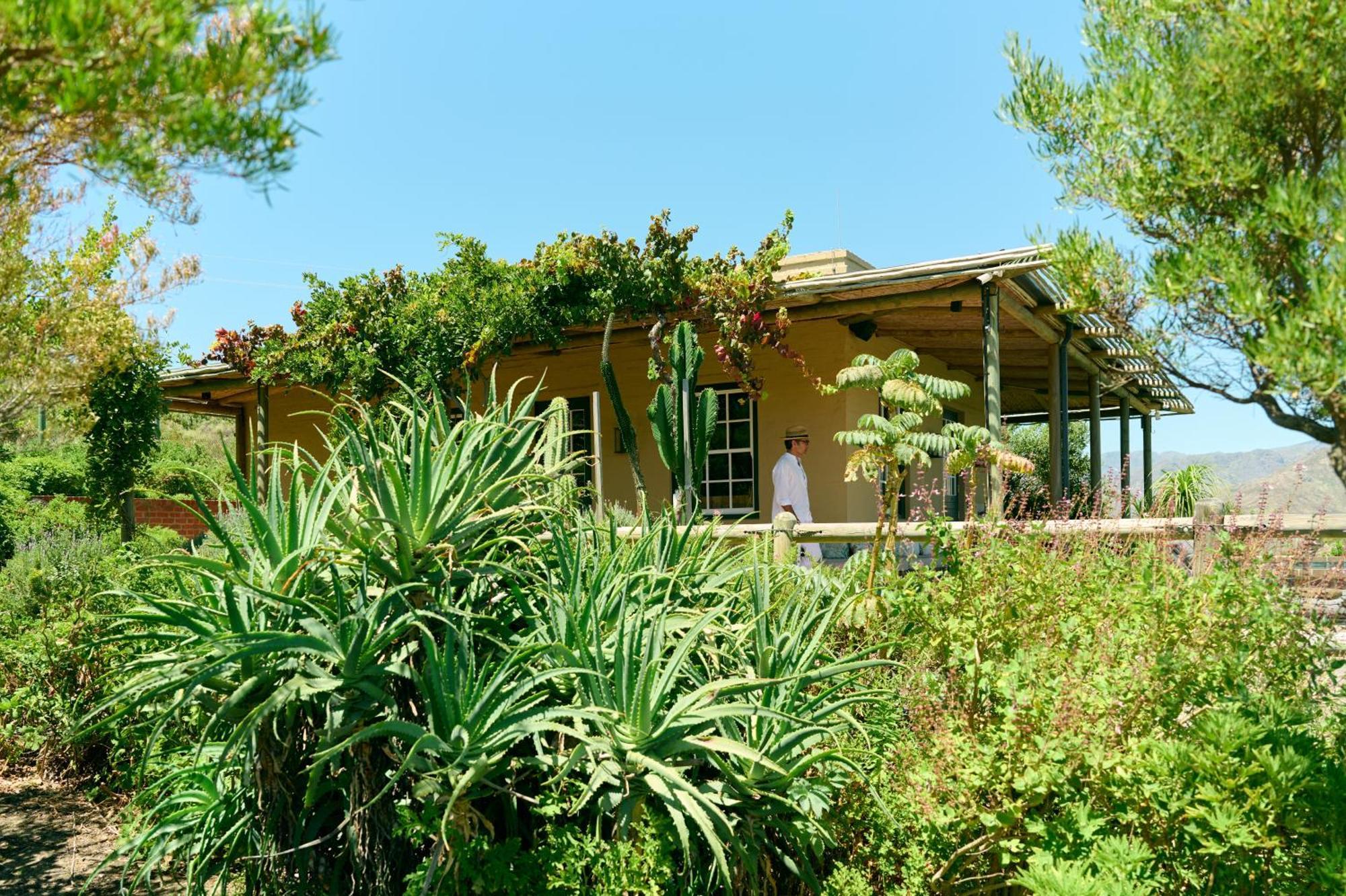 7 Koppies Bed & Breakfast Franschhoek Exterior photo